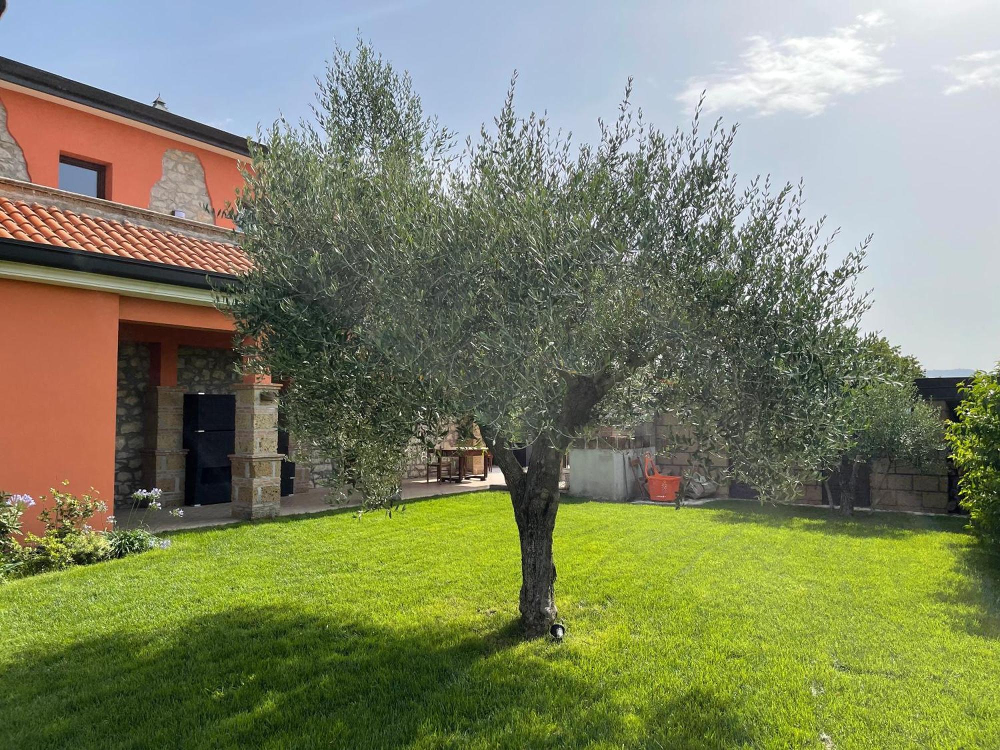 Azienda Agricola Ponterotto Mirabella Eclano Exterior photo