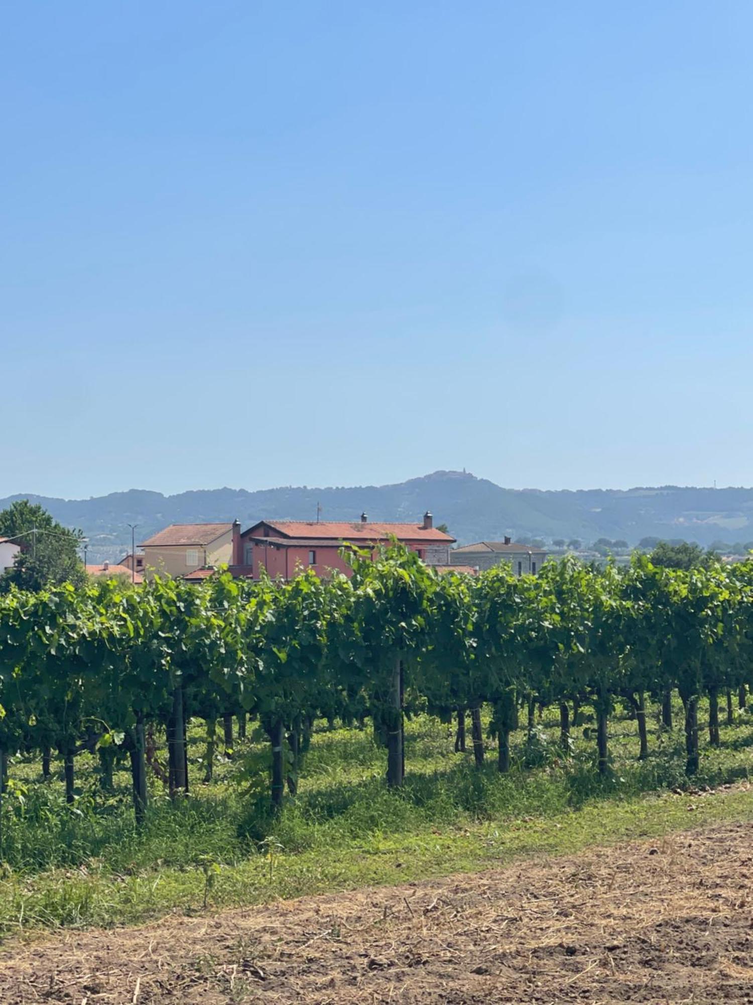 Azienda Agricola Ponterotto Mirabella Eclano Exterior photo