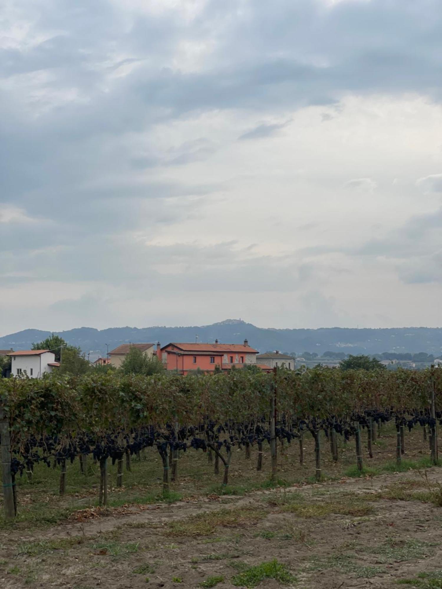 Azienda Agricola Ponterotto Mirabella Eclano Exterior photo